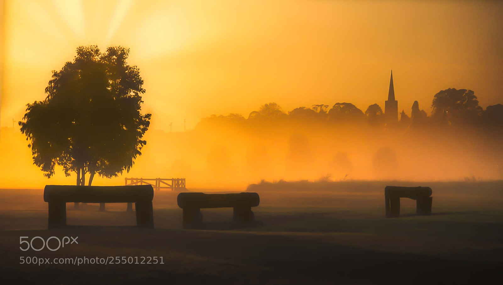 Olympus OM-D E-M5 II sample photo. Misty morning photography