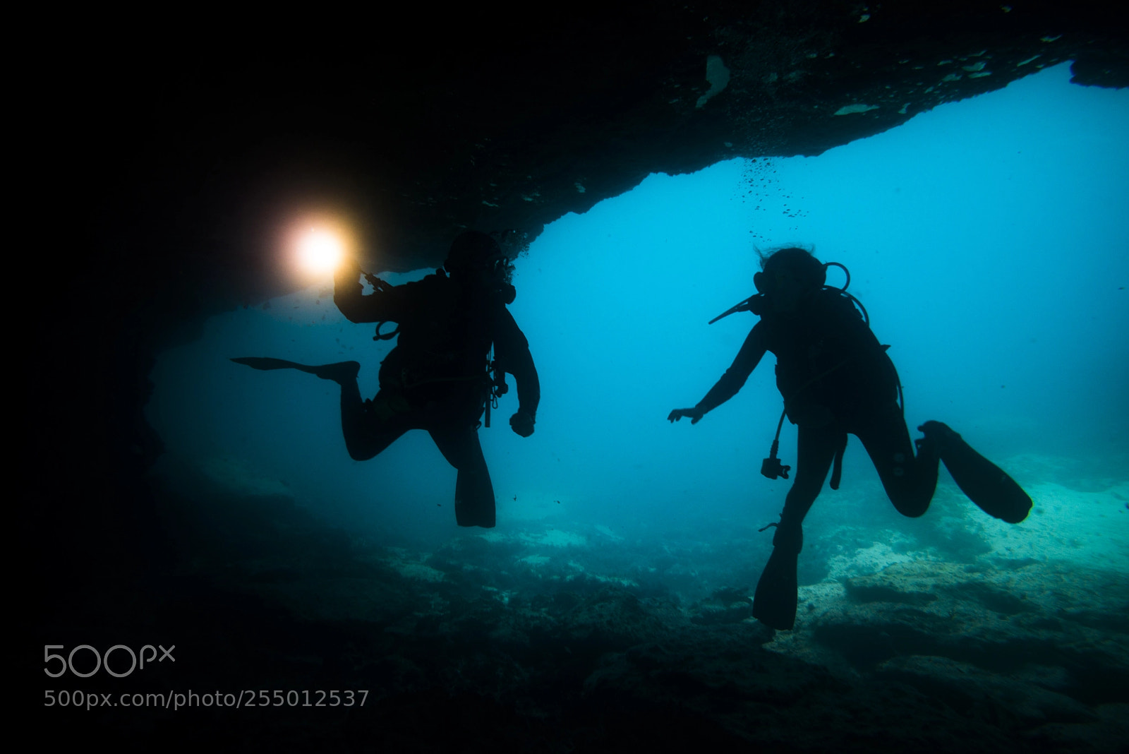 Nikon D610 sample photo. Silhouette divers in a photography