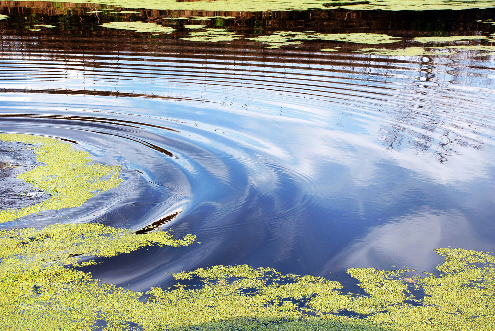 Nikon D200 sample photo. Untitled photography