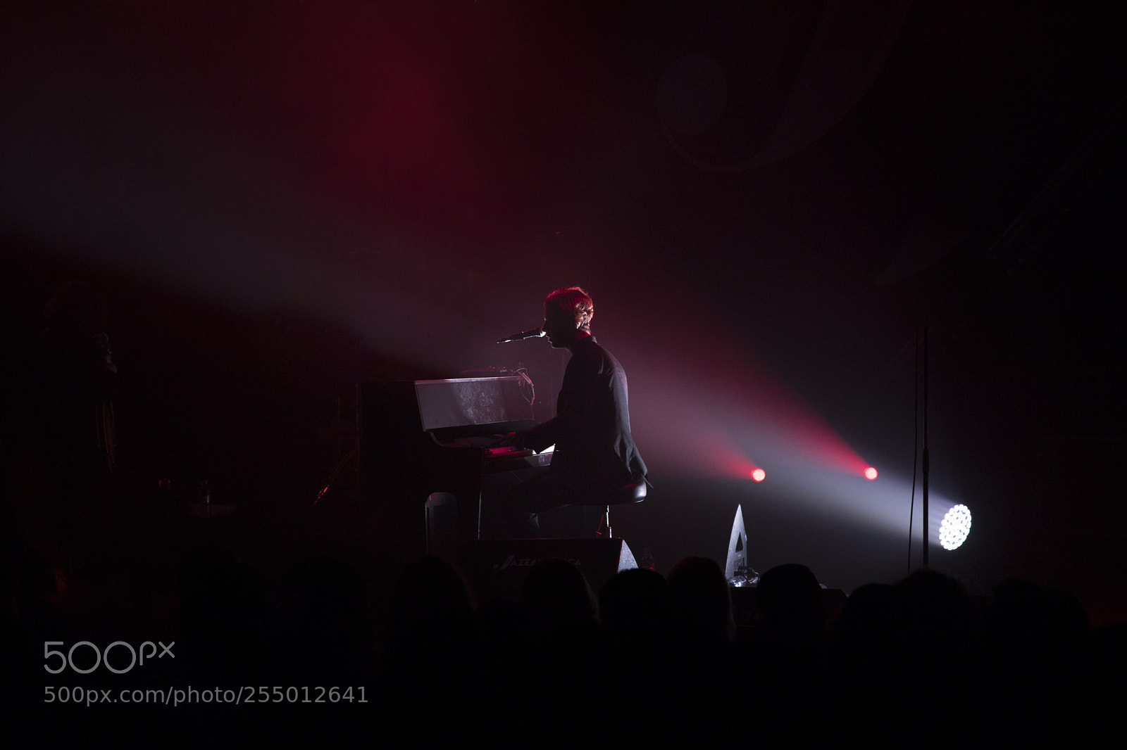 Canon EOS 5D Mark IV sample photo. Tom odell photography
