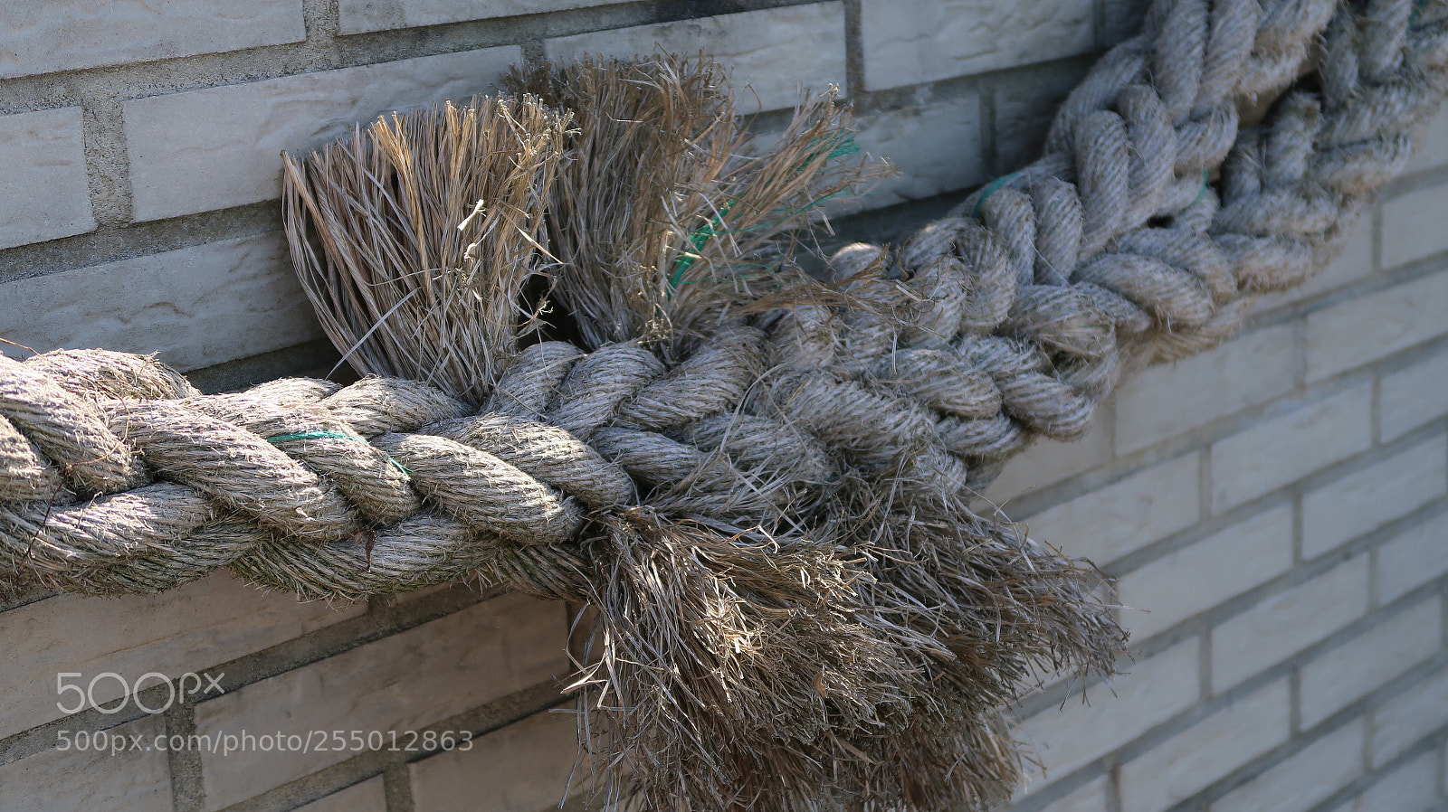 Canon PowerShot G7 X Mark II sample photo. Rope photography