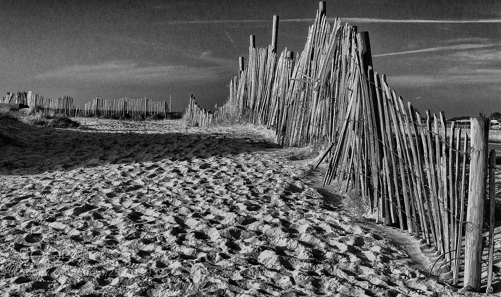 Nikon D90 sample photo. Dune fence photography