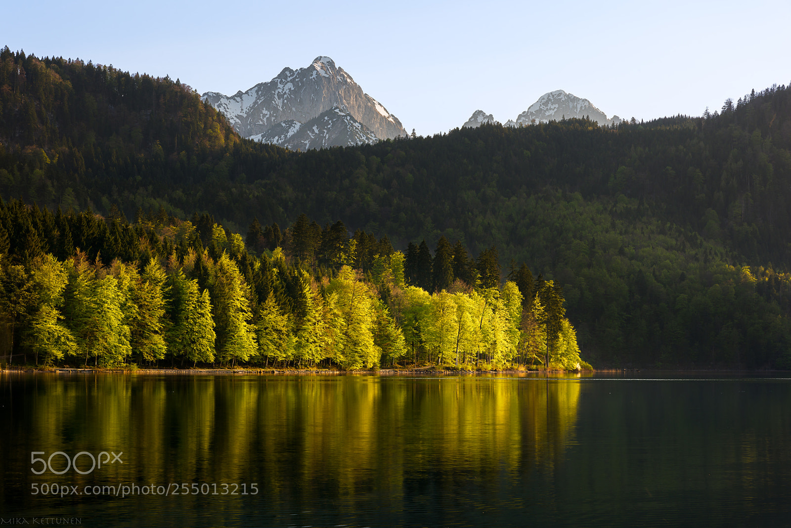 Nikon D810 sample photo. Alpsee photography