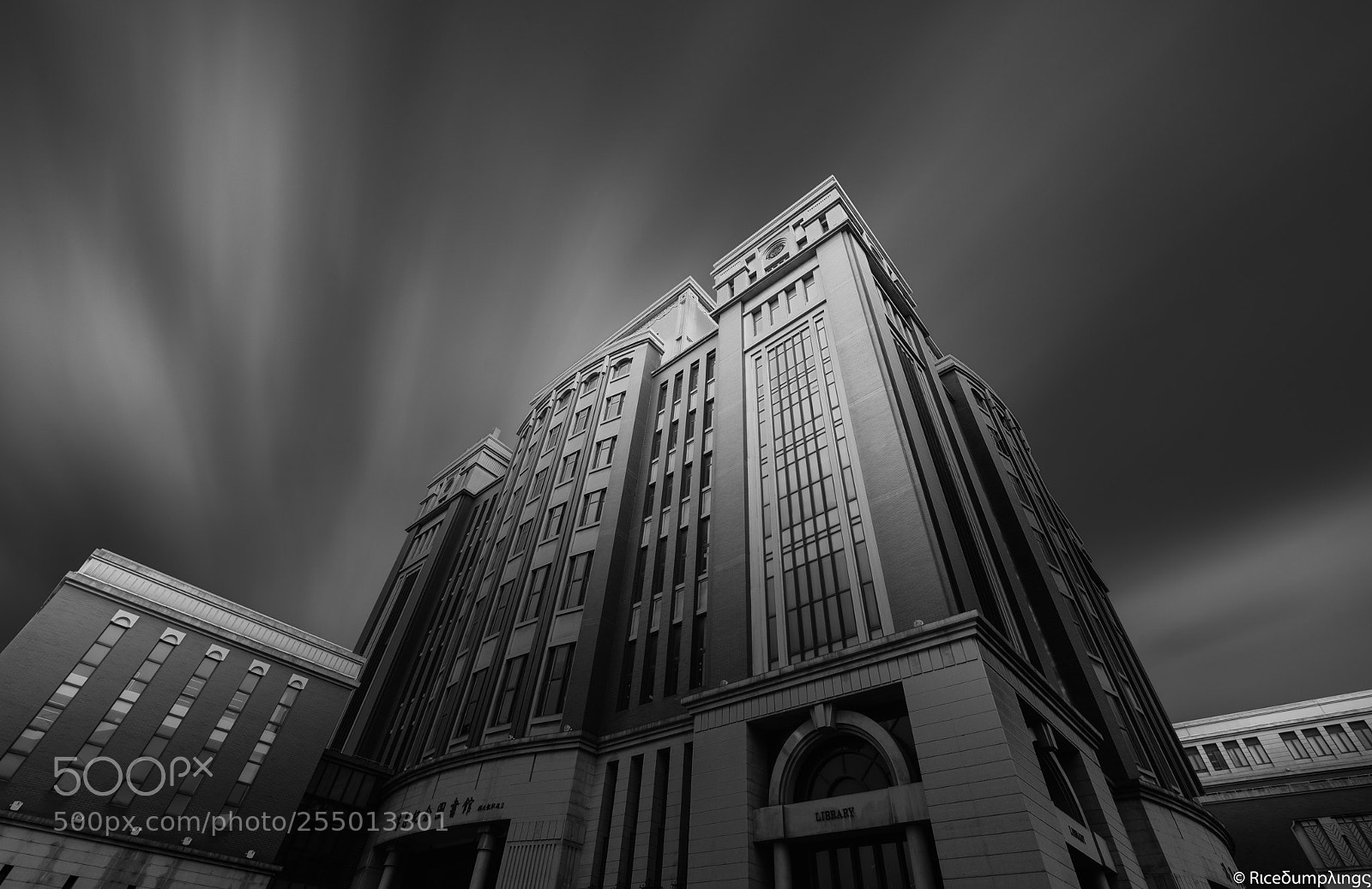 Nikon D810 sample photo. Library photography