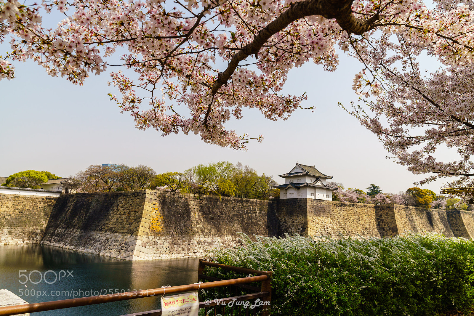 Sony a7R III sample photo. Hanami at osaka castle photography