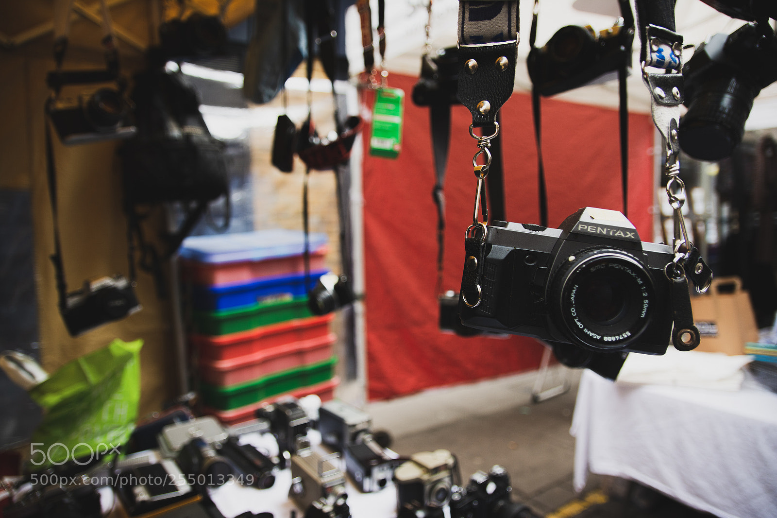 Nikon D7100 sample photo. Photo at cameras at photography