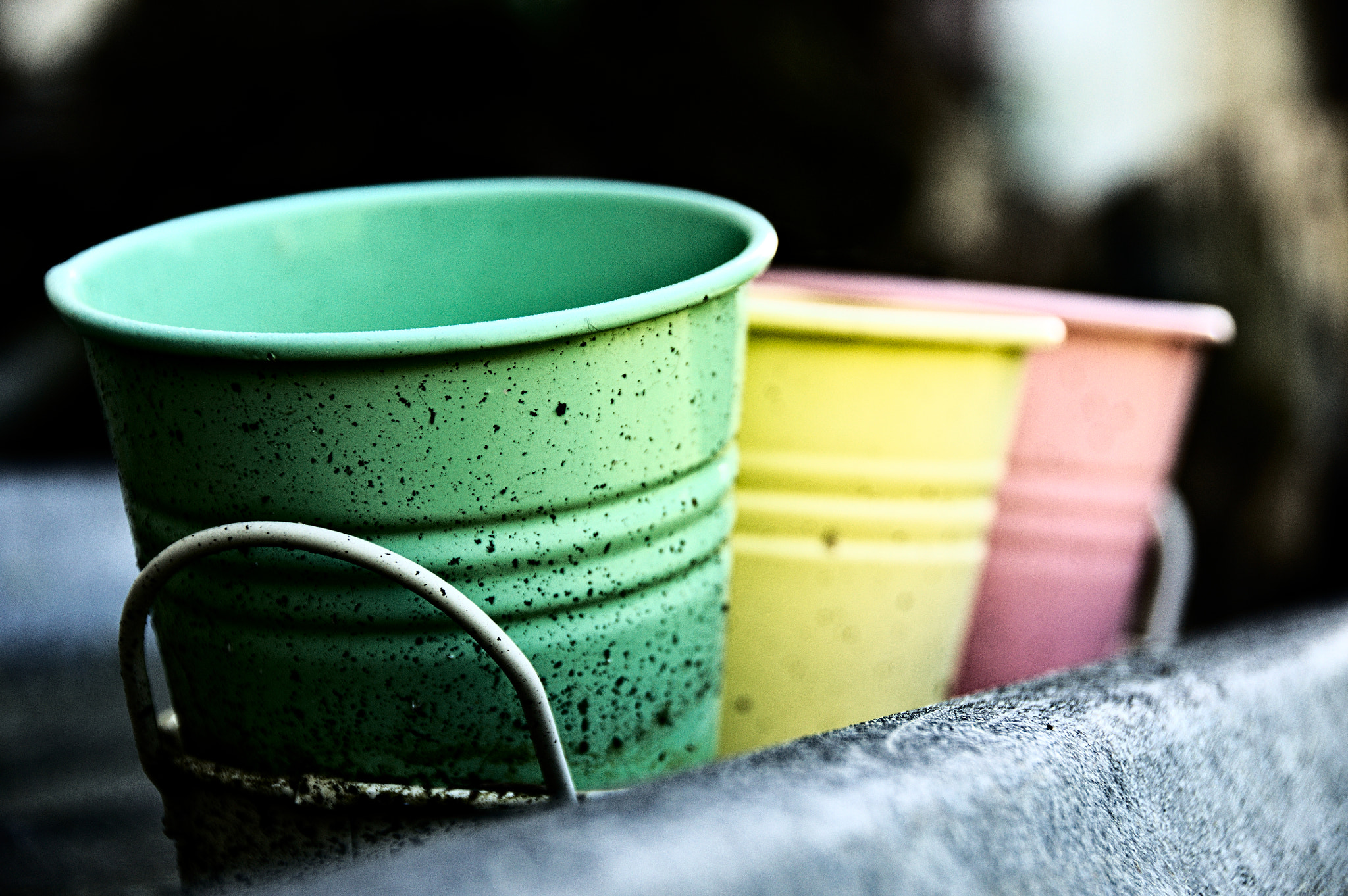Nikon D90 sample photo. Les p'tits pots photography