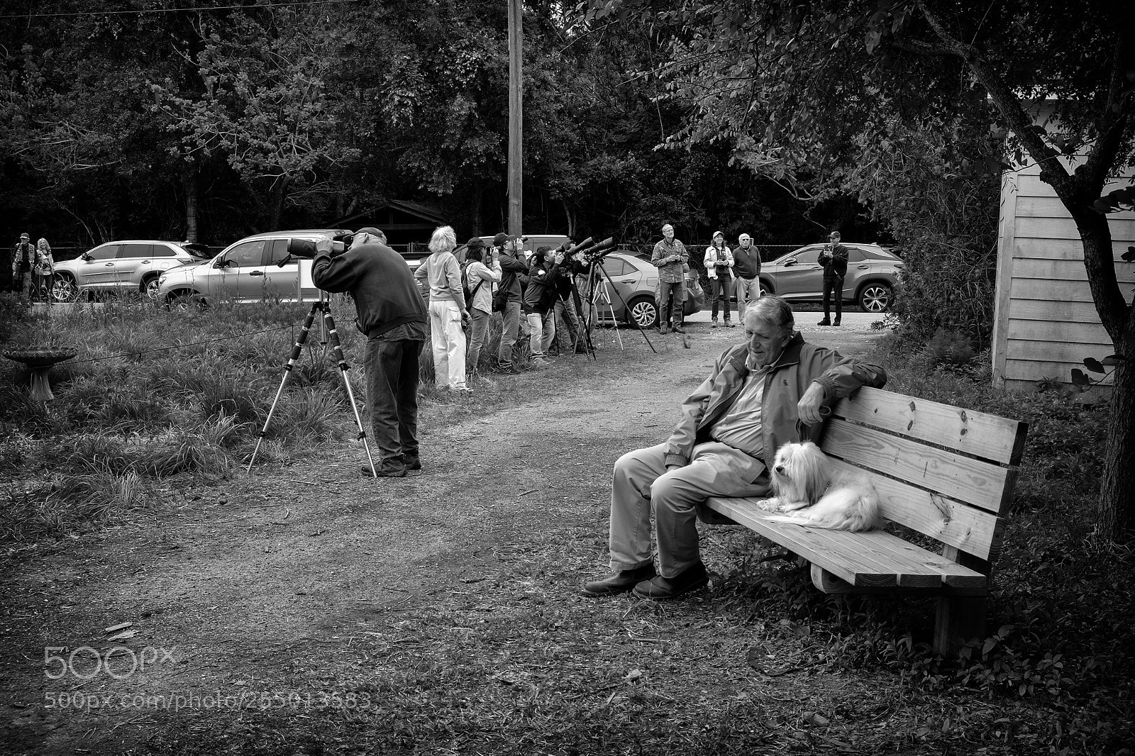 Fujifilm X-Pro1 sample photo. At smith oaks santuary photography