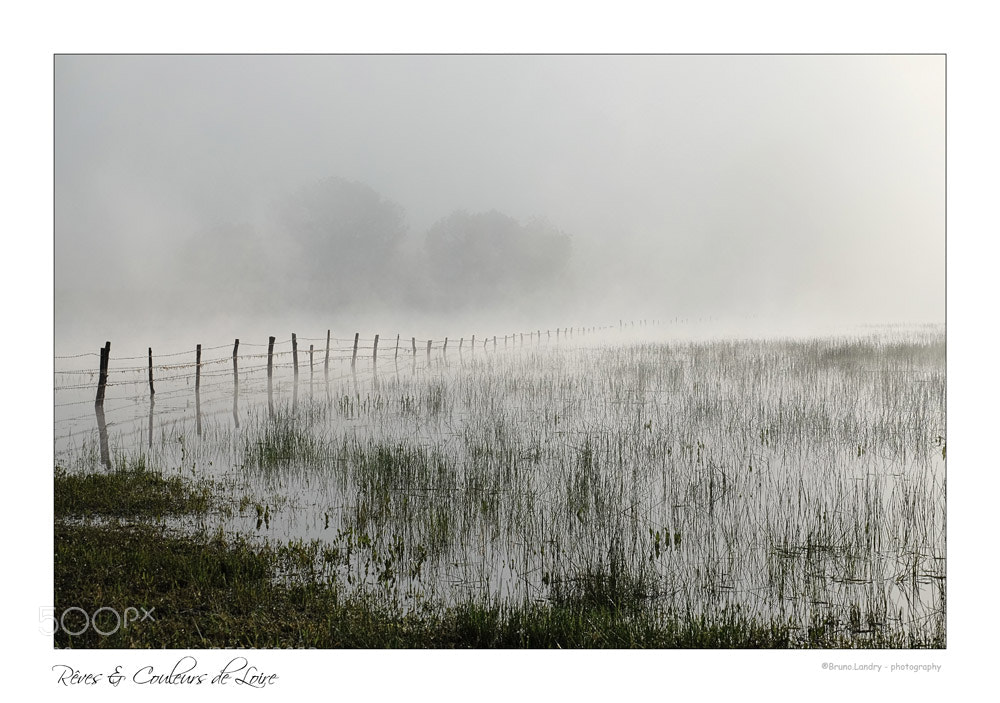 Fujifilm X-T10 sample photo. Prairie inond e dans photography