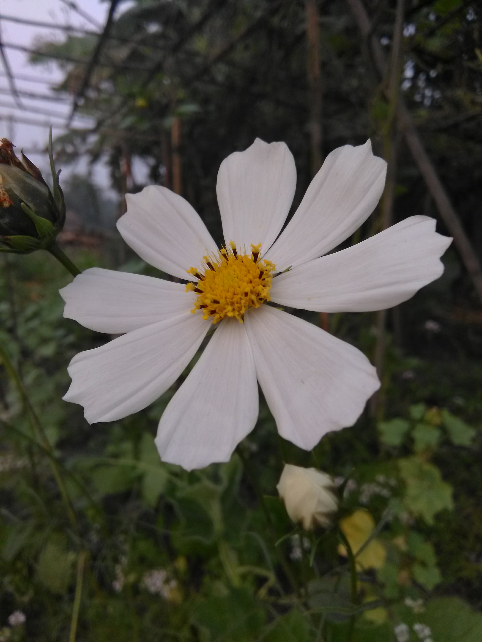 HMD Global Nokia 2 sample photo