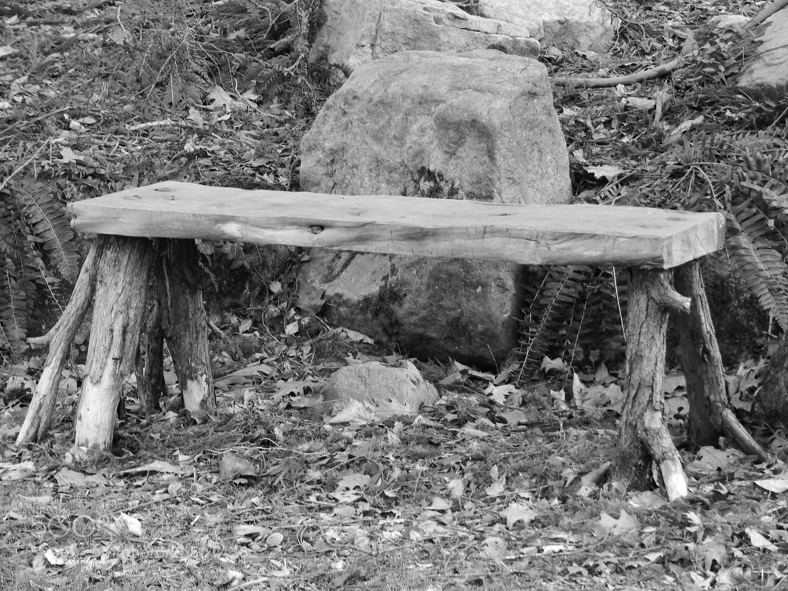 Nikon Coolpix L820 sample photo. Handcrafted bench in a photography