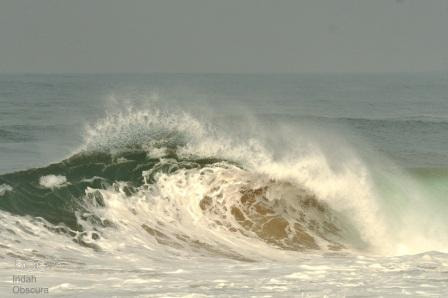 Nikon AF-S Nikkor 200-500mm F5.6E ED VR sample photo. Ioi albino wave. photography