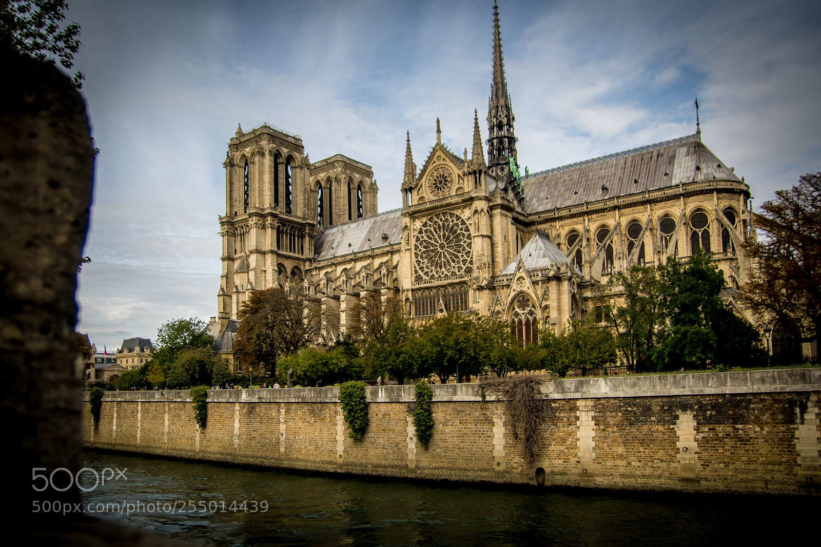 Nikon D7100 sample photo. Paris tag photography