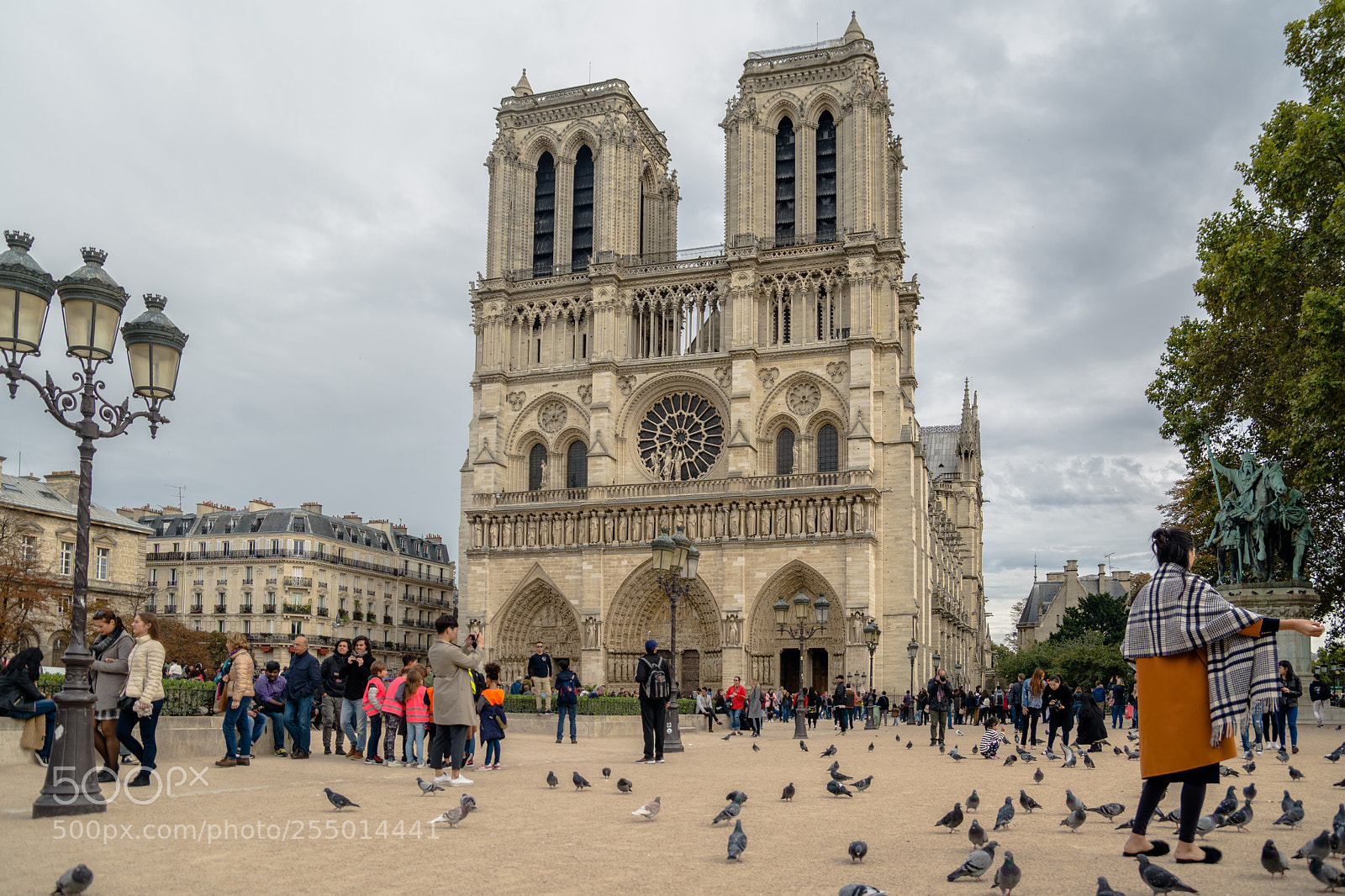 Nikon D7100 sample photo. Notre dame photography