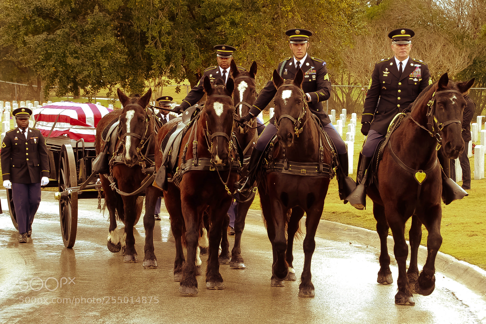 Canon EOS 7D sample photo. Laid to rest photography