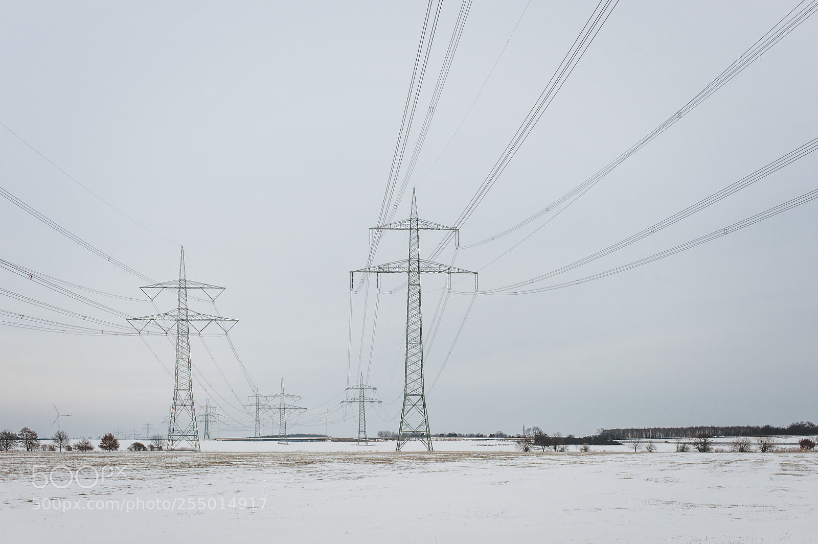 Leica M9 sample photo. Landlines photography