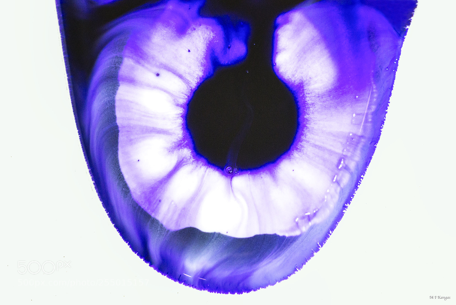 Nikon D610 sample photo. Electricity photography