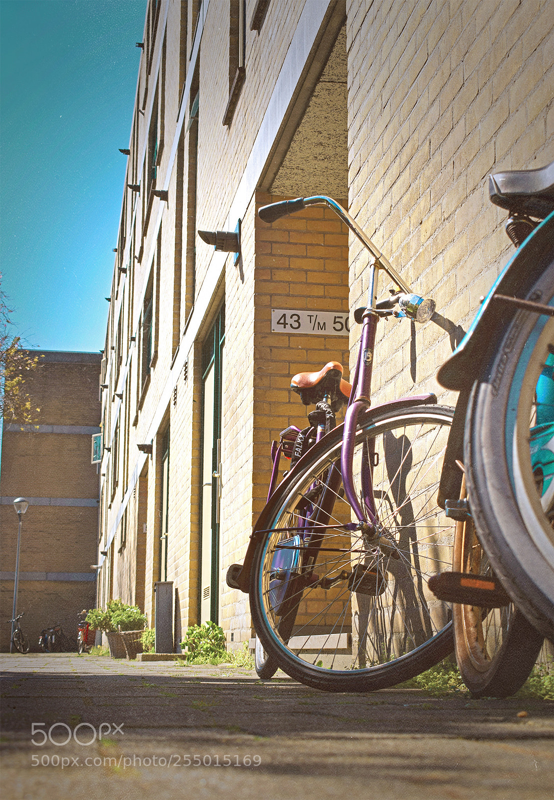 Nikon D5300 sample photo. Bicycle photography