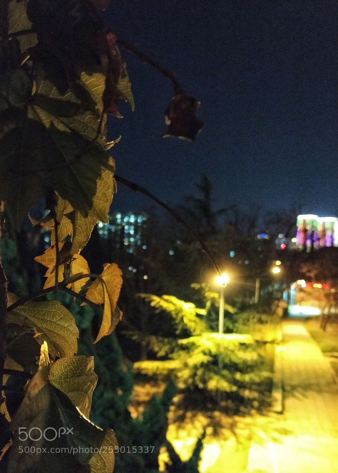 Xiaomi MI6 sample photo. Tonight photography