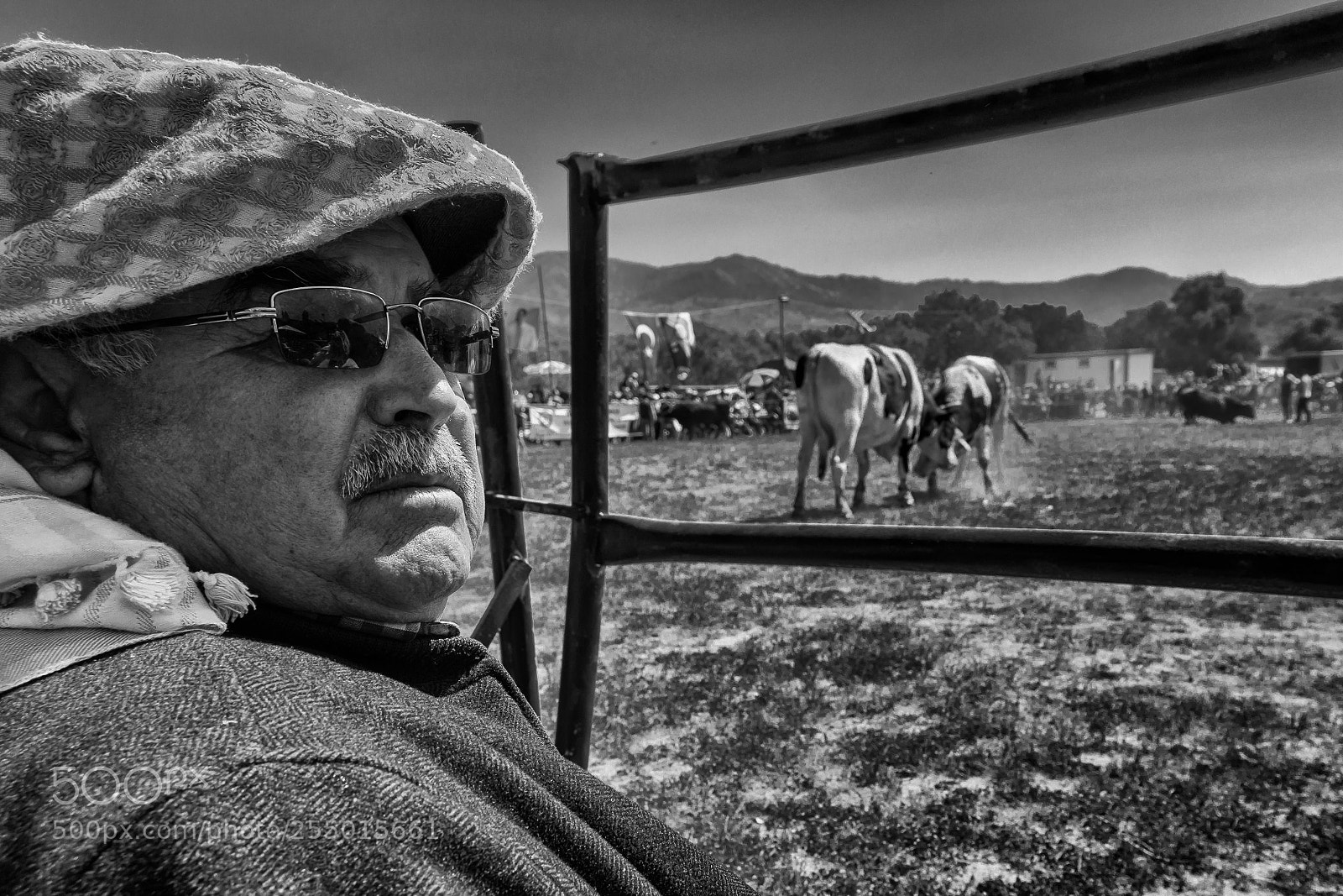 Canon EOS 80D sample photo. Bull fighting photography