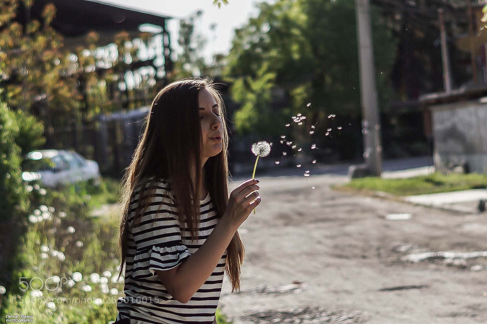 Sony SLT-A68 sample photo. Sofia photography