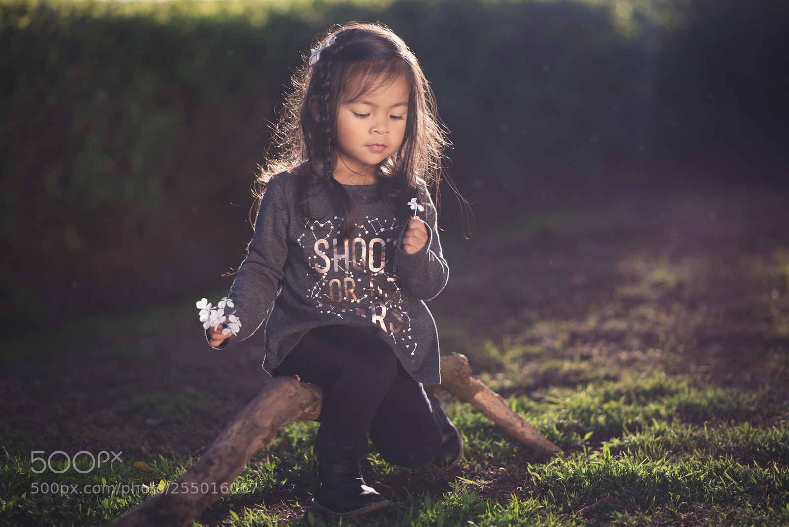 Nikon D750 sample photo. Girl picking flowers photography