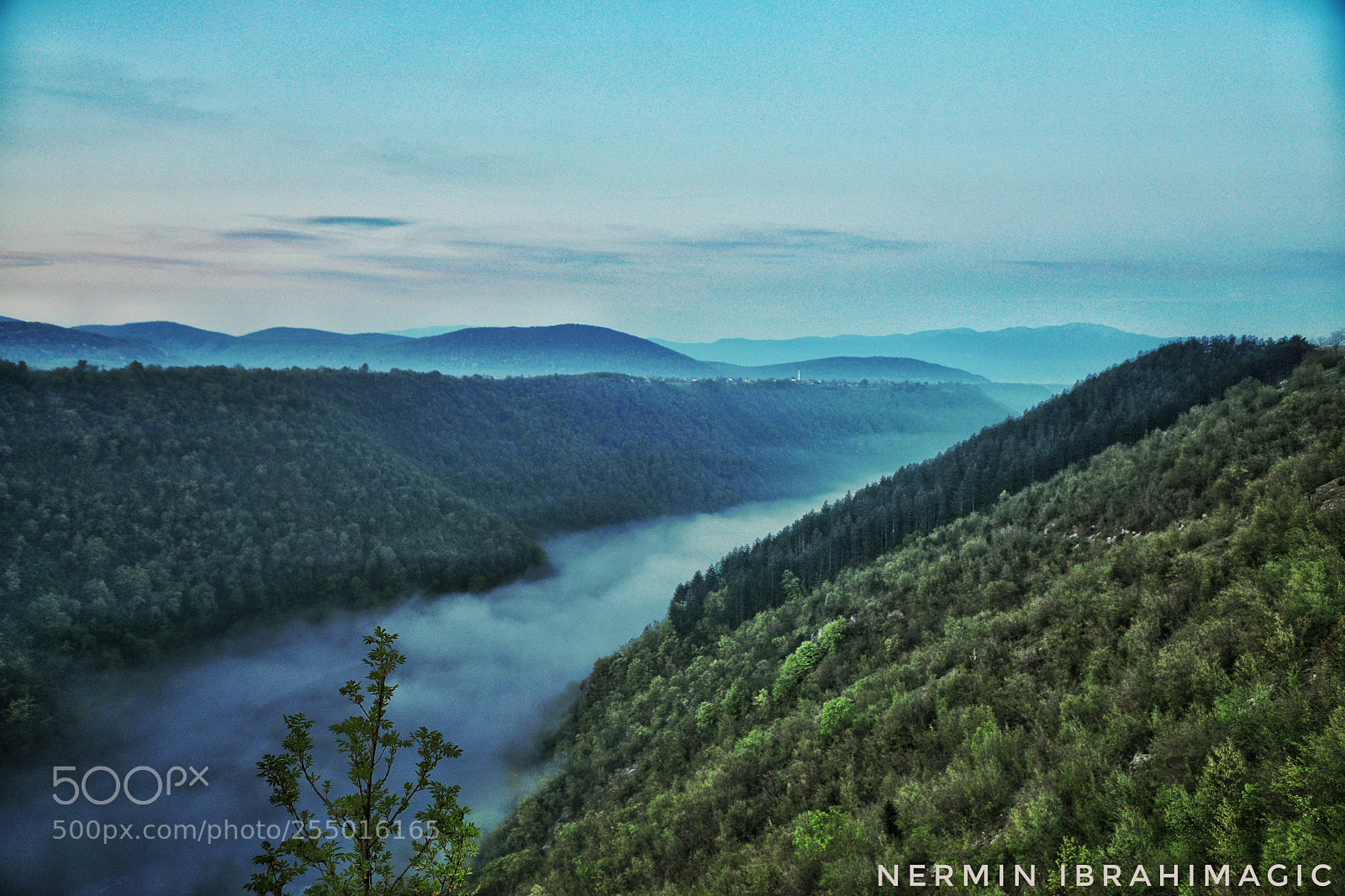 Nikon D800 sample photo. Untitled photography