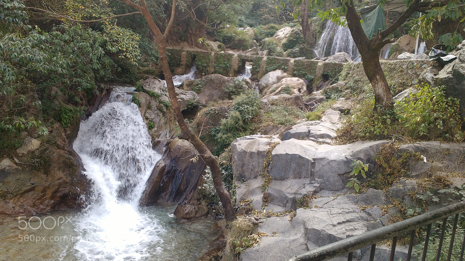 Motorola MotoG3 sample photo. Multiple titles photography