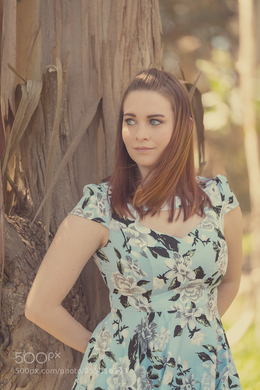 Sony a7R III sample photo. Vintage photography