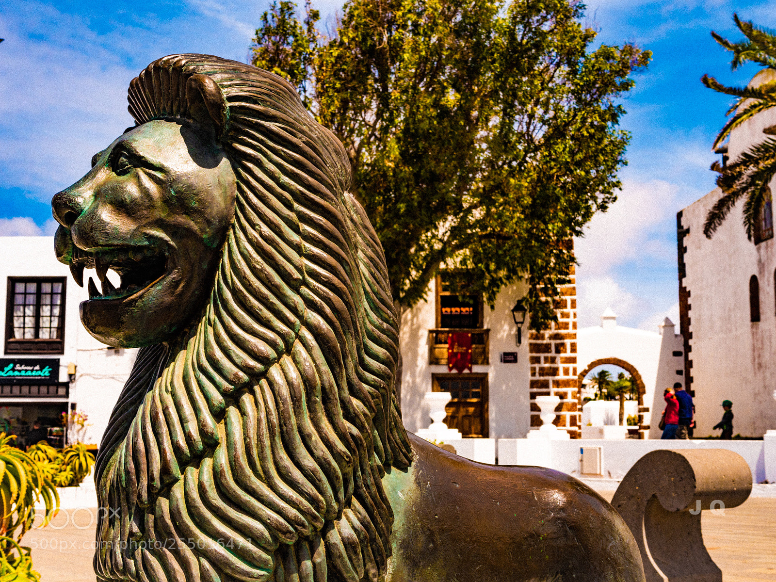 Panasonic Lumix DC-G9 sample photo. A lion keeps san photography