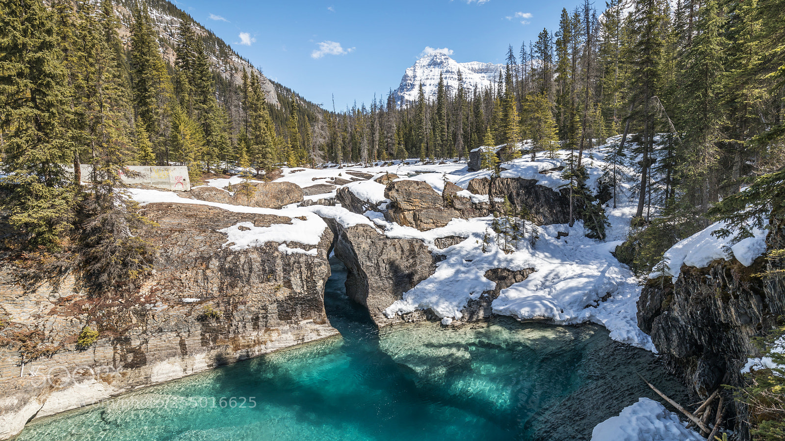 Canon EOS 5D Mark IV sample photo. Natural bridge photography