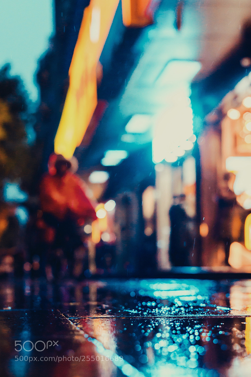 Sony a7 sample photo. Processed with vsco with photography
