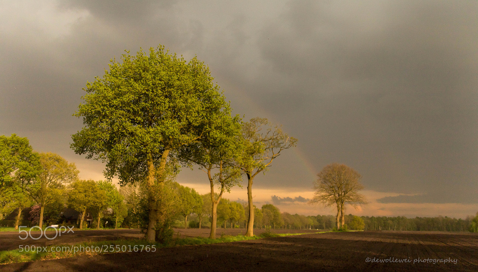 Canon EOS 7D Mark II sample photo. After the rain photography