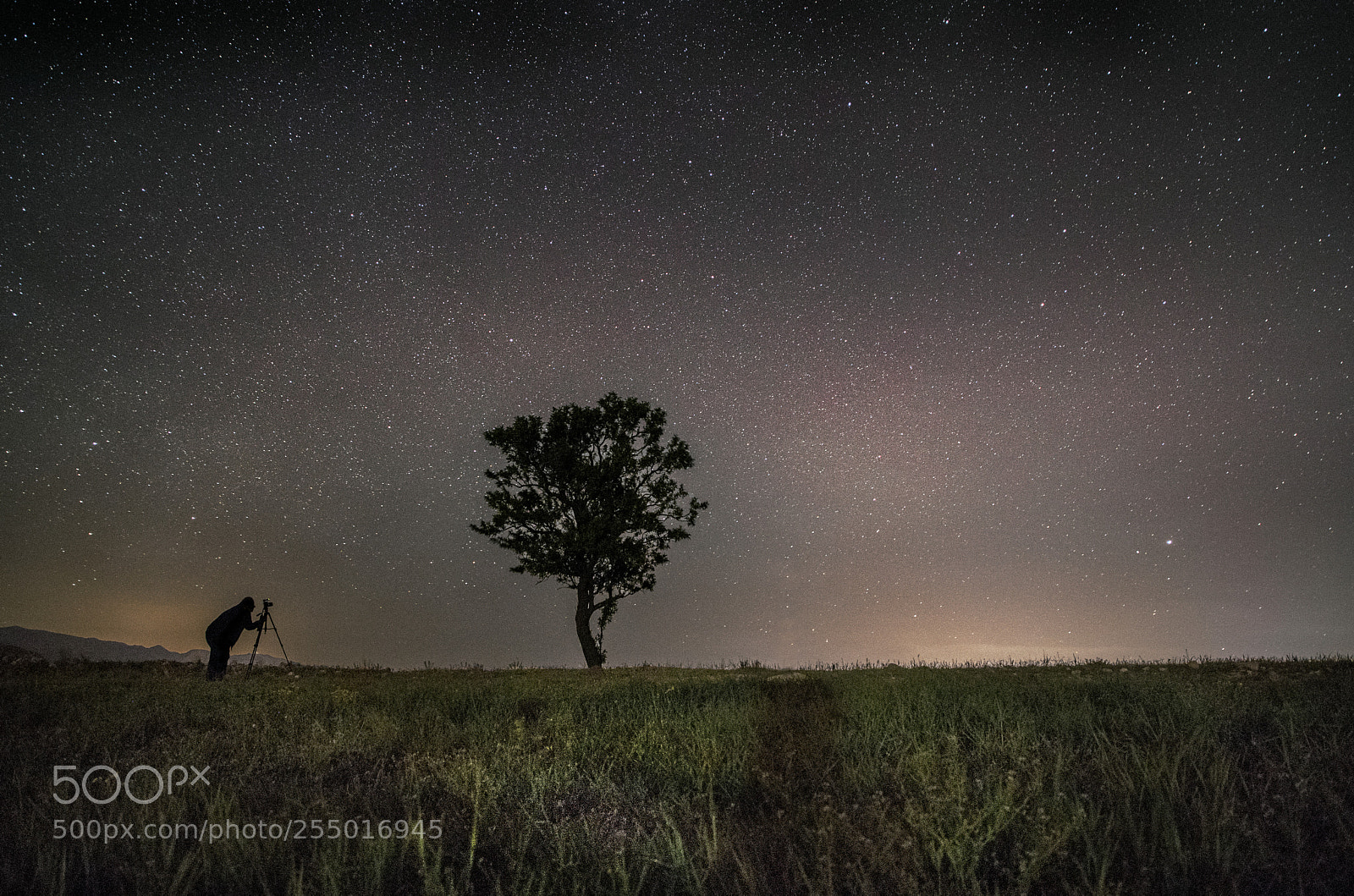 Canon EOS 6D Mark II sample photo. Lovely night sky photography