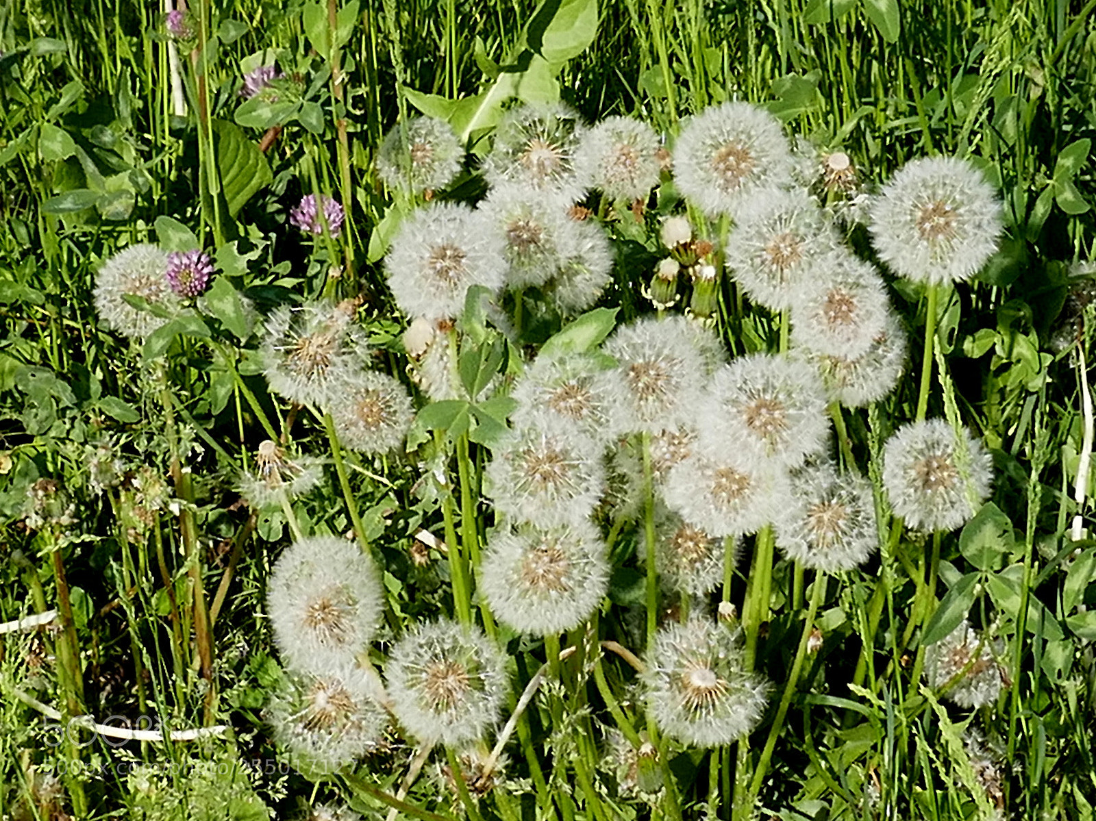Panasonic Lumix DMC-ZS100 (Lumix DMC-TZ100) sample photo. P photography