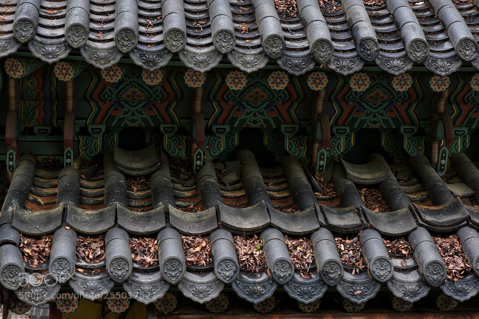 Nikon D810 sample photo. Untitled photography