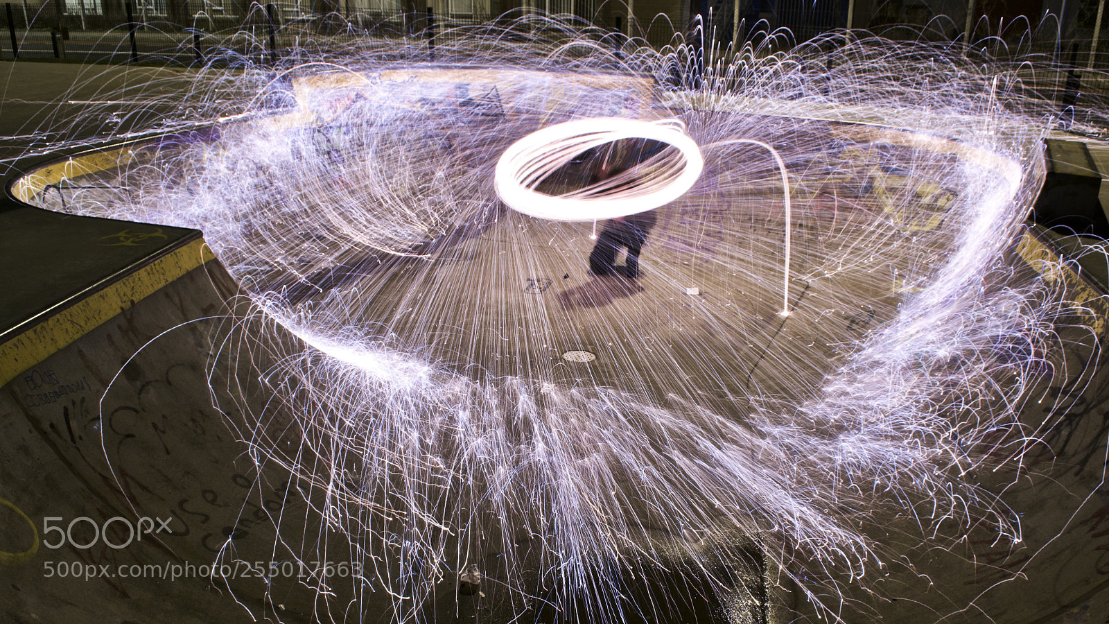 Nikon D3100 sample photo. Bowl photography