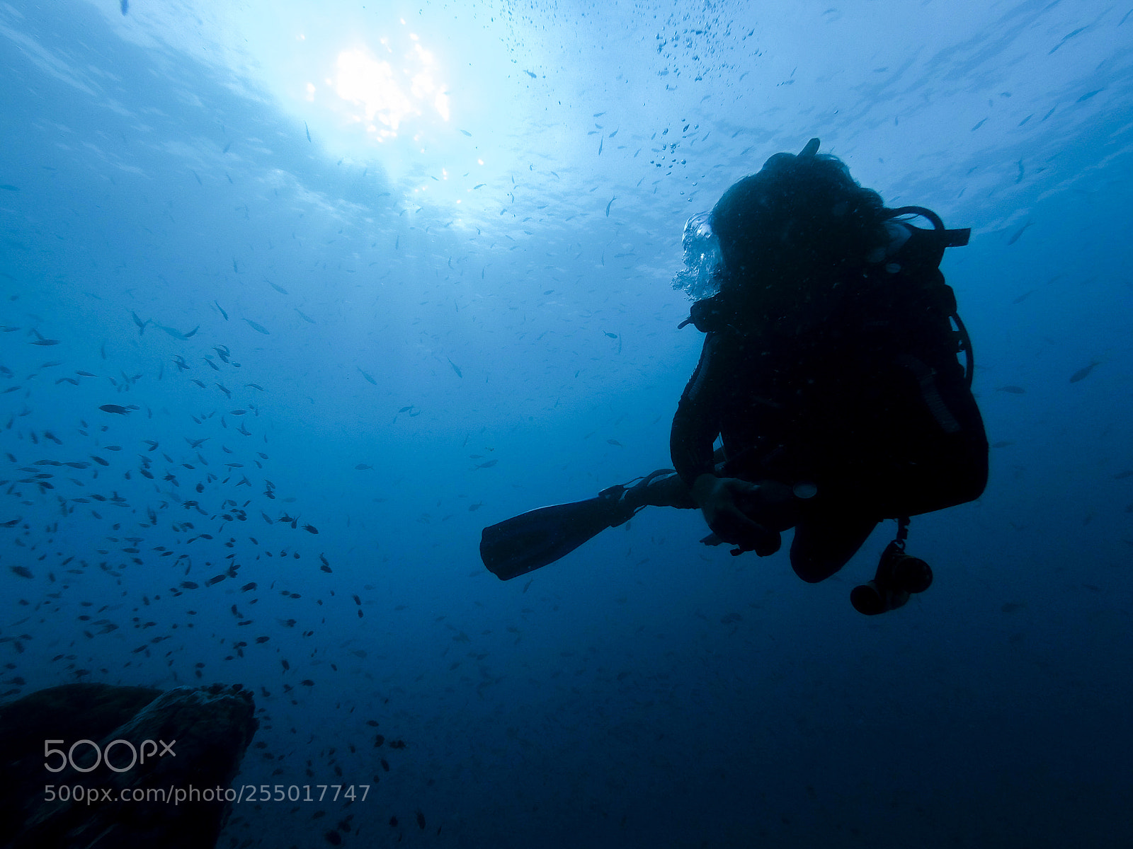 GoPro Hero5 Black sample photo. Diver silhouette in the photography