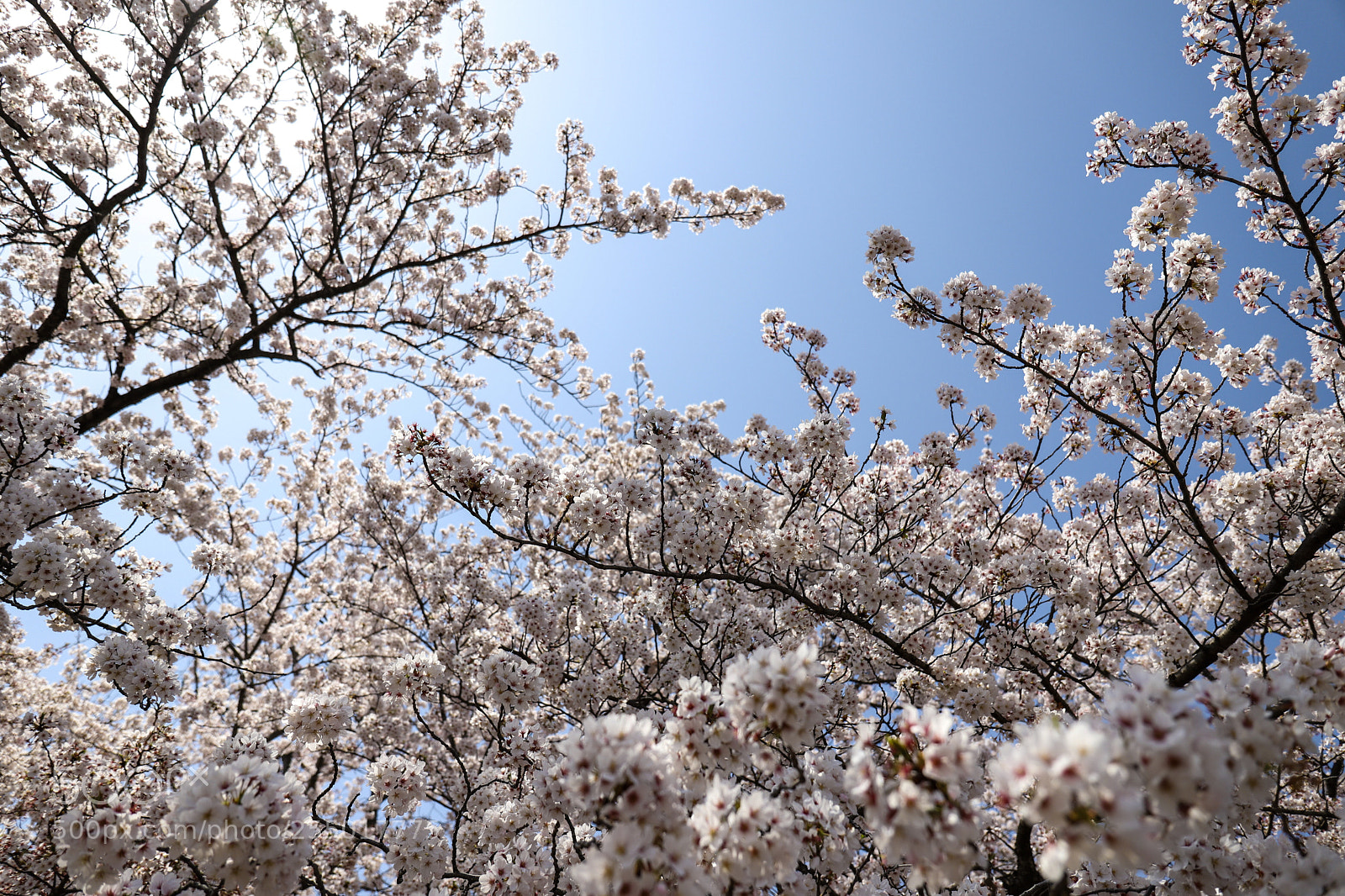 Canon EOS 6D Mark II sample photo. To the inside of photography