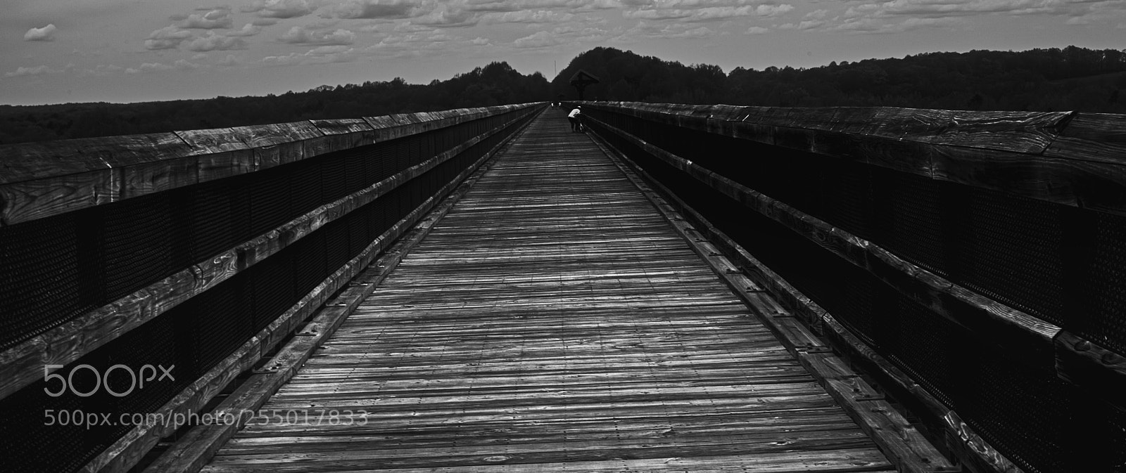 Canon EOS 5D Mark II sample photo. Bridge photography