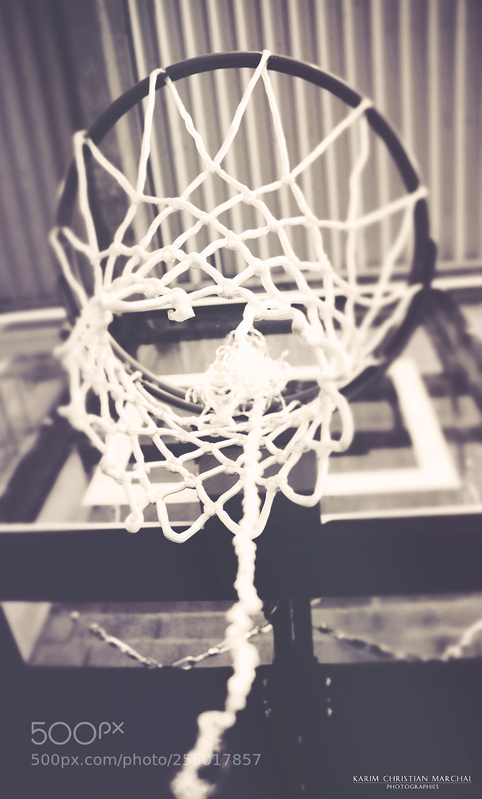 Canon EOS 700D (EOS Rebel T5i / EOS Kiss X7i) sample photo. Basket photography
