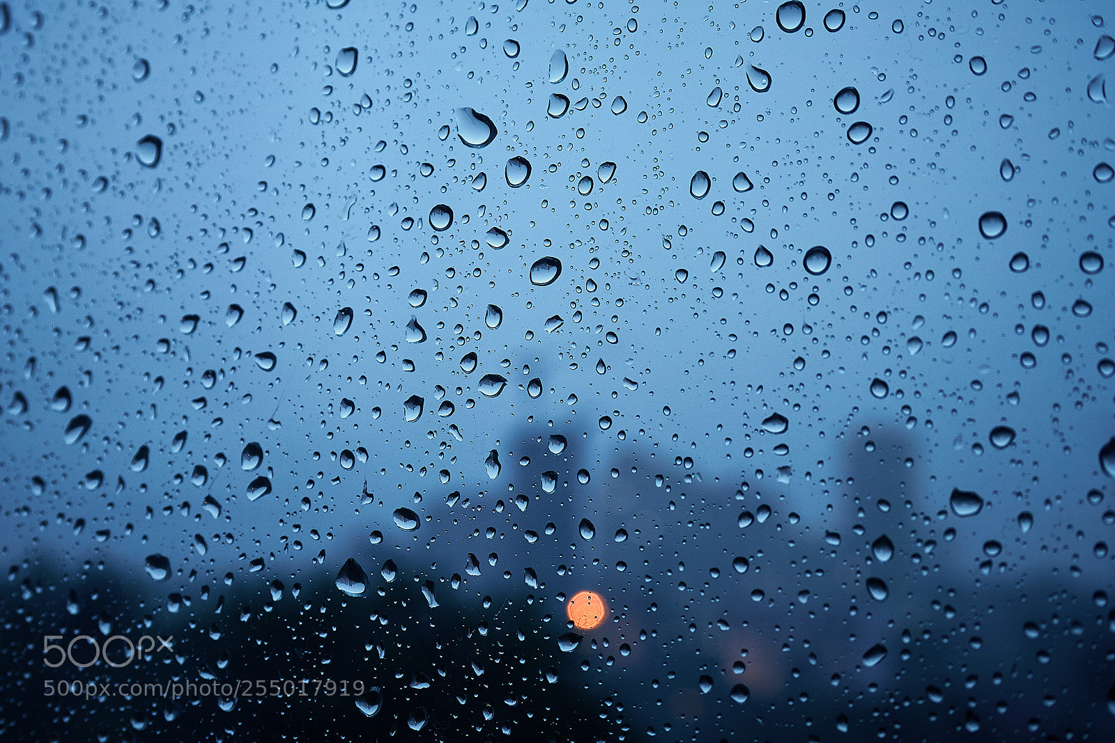 Canon EOS 500D (EOS Rebel T1i / EOS Kiss X3) sample photo. Rain drops in your photography