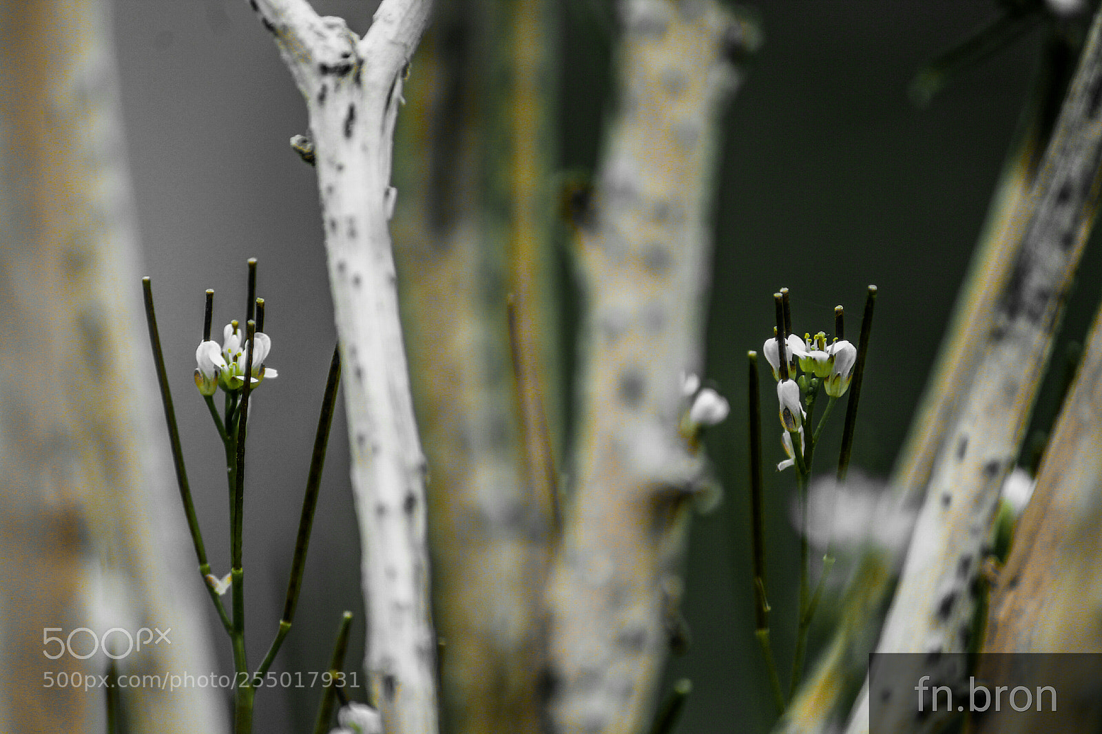 Canon EOS 1200D (EOS Rebel T5 / EOS Kiss X70 / EOS Hi) sample photo. Hidden gems photography