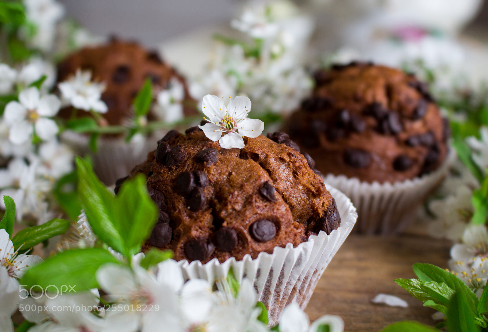 Canon EOS 700D (EOS Rebel T5i / EOS Kiss X7i) sample photo. Cakes&flowers photography