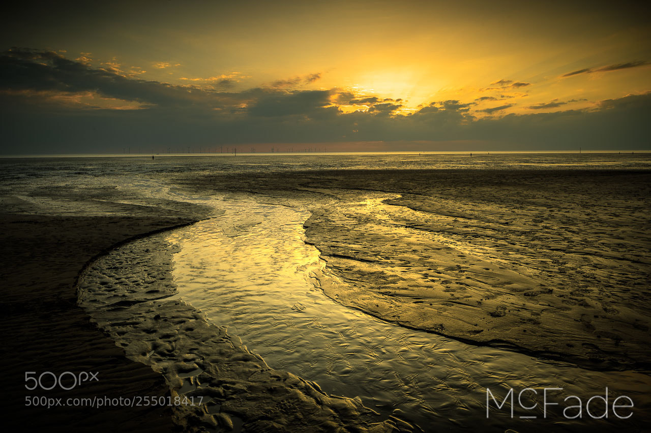 Canon EOS 5D Mark IV sample photo. The metal men at photography