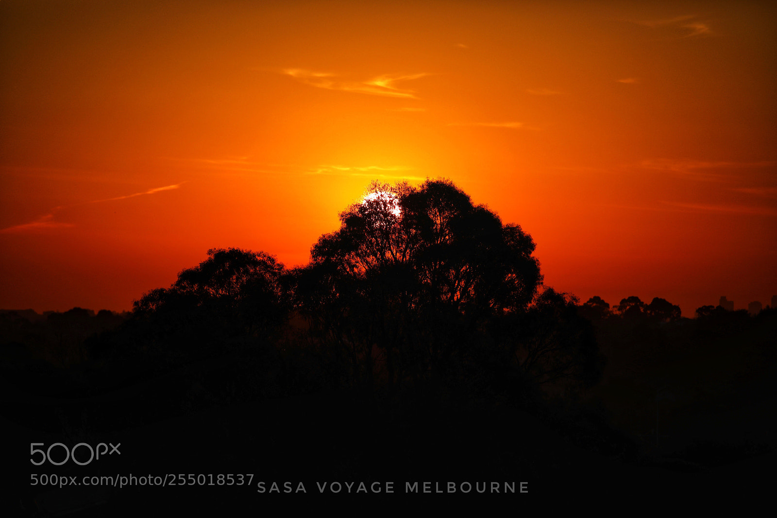 Canon EOS 5D Mark IV sample photo. Sunset  photography