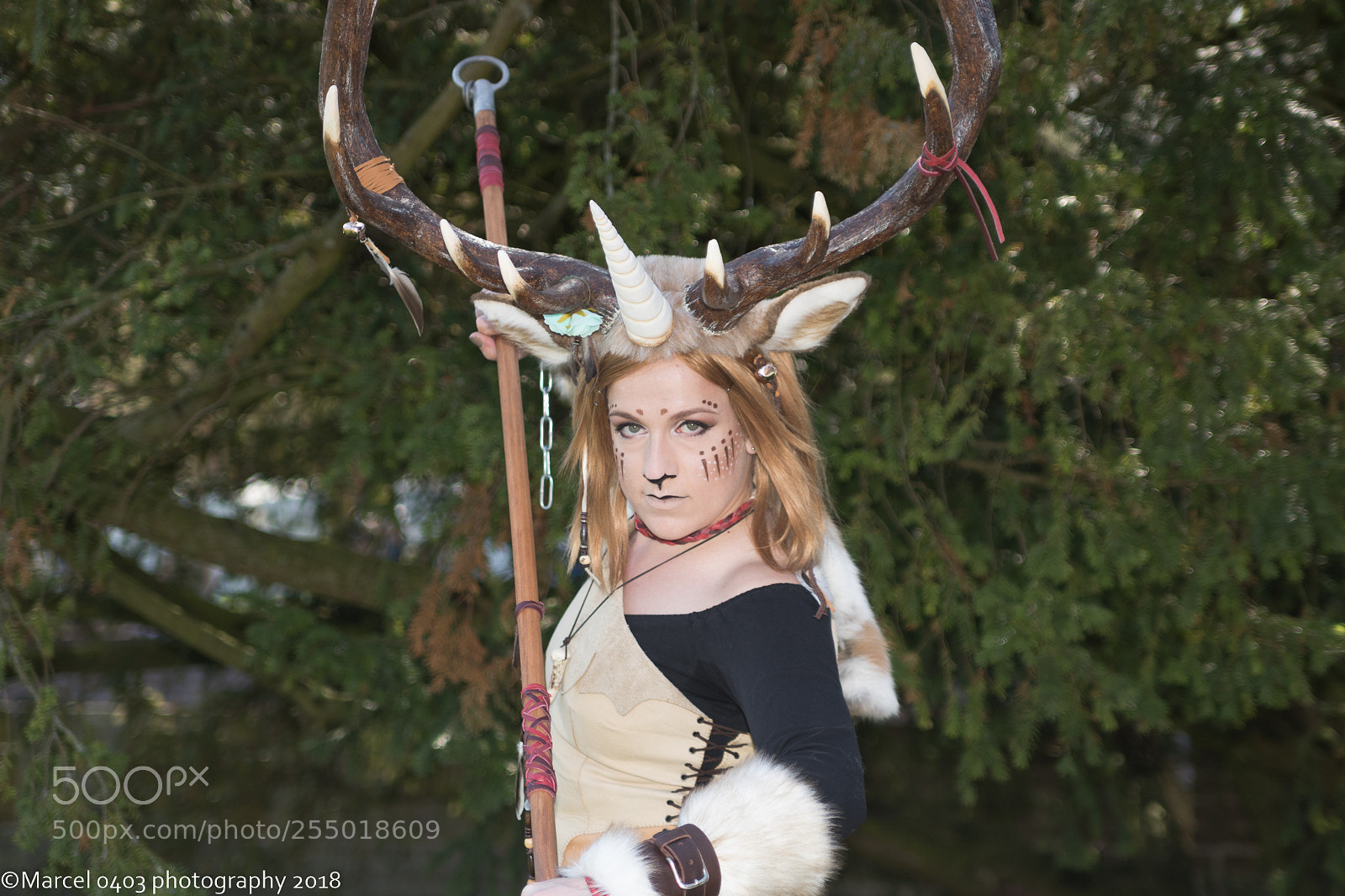 Canon EOS 760D (EOS Rebel T6s / EOS 8000D) sample photo. Elfia zaterdag photography