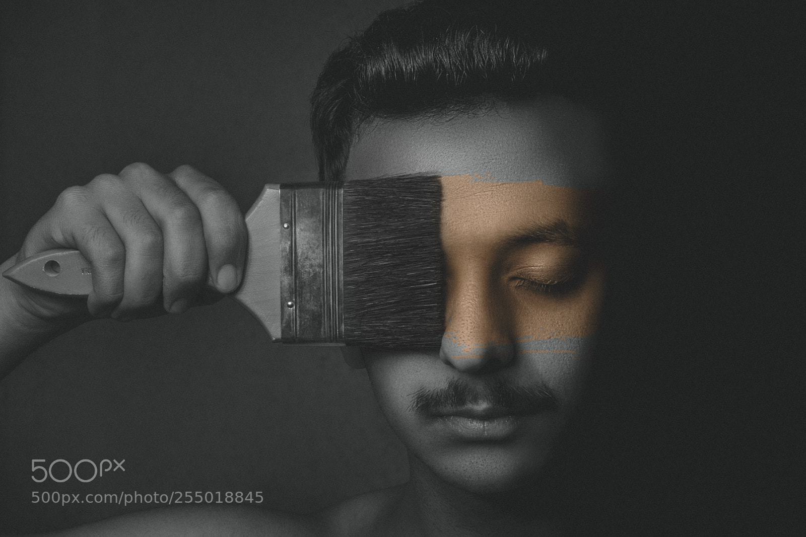 Canon EOS 60D sample photo. The artist photography