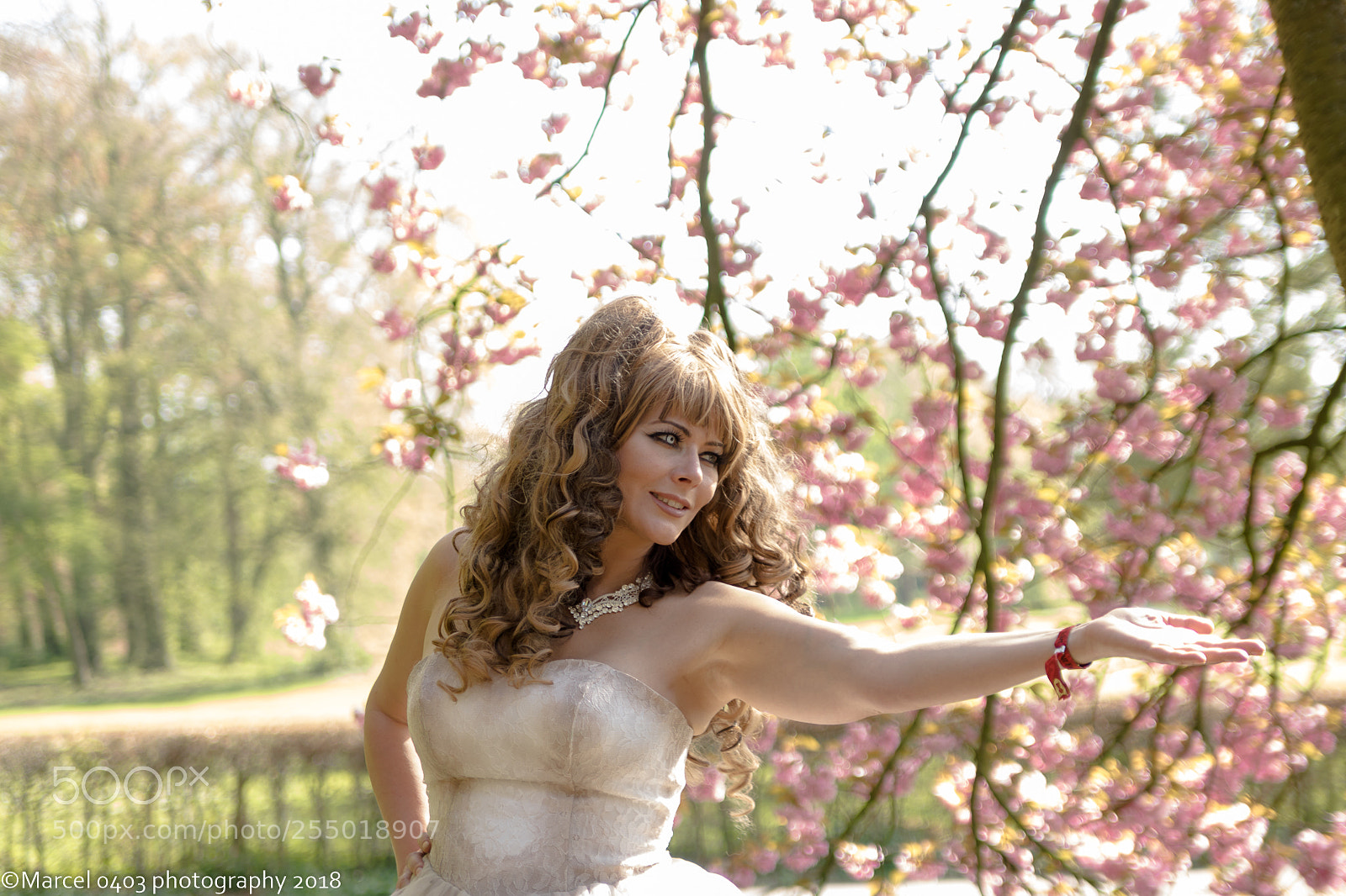 Canon EOS 760D (EOS Rebel T6s / EOS 8000D) sample photo. Elfia zaterdag photography