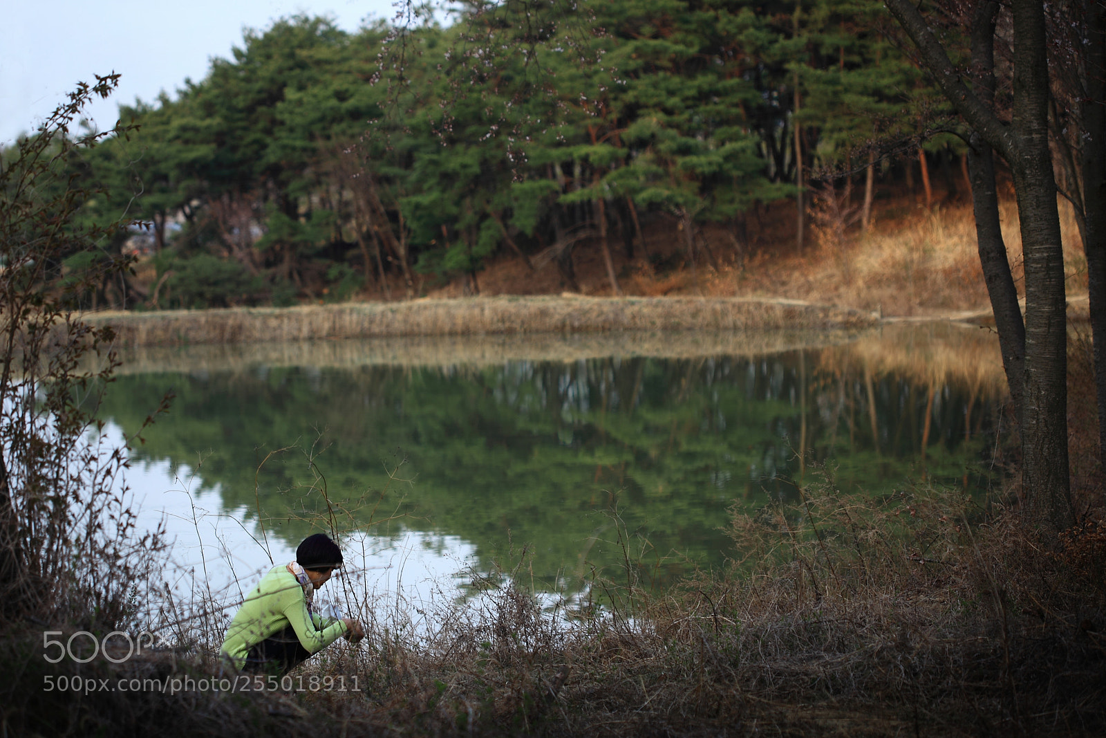 Canon EOS 5D Mark II sample photo. Afternoon of a spring photography